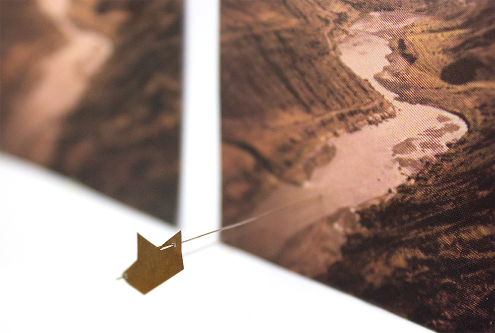 collage8-1